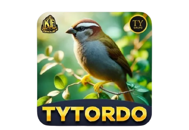 Entre na TYTORDO: A Plataforma que Traz os Slots Fortune e Paga Com Pix Rápido. TYTORDO