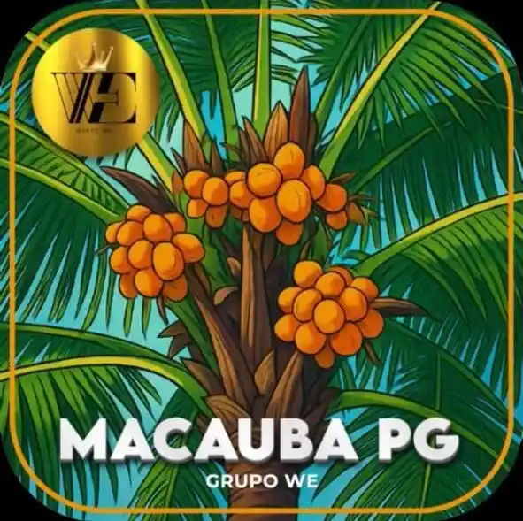 Desvendando a MACAUBA PG: Guia Rápido de Jogos e Bônus com Rollover MACAUBA PG