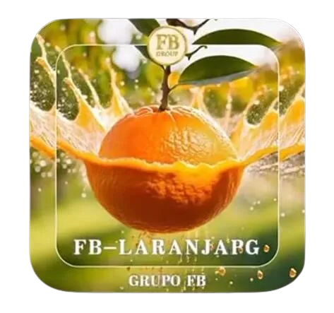 FB-LARANJAPG: Como Funciona o Rollover e a Emoção de Jogar Gates of Olympus e Clash of War FB-LARANJAPG